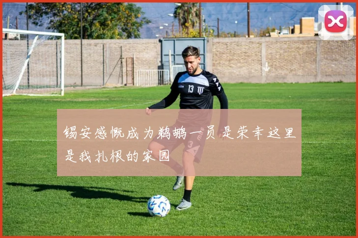 锡安感慨成为鹈鹕一员是荣幸这里是我扎根的家园