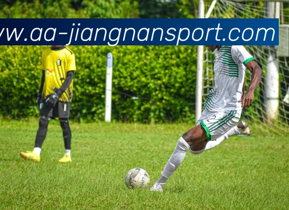 App Interface Preview